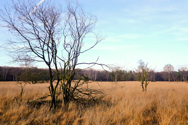 veluwe national park 6