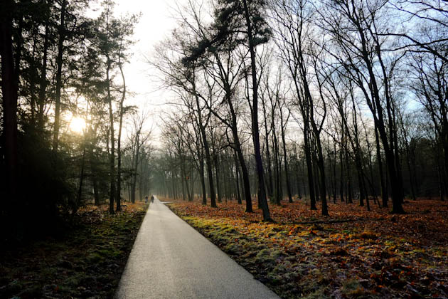veluwe national park