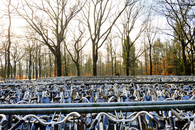 white bicycles veluwe national park